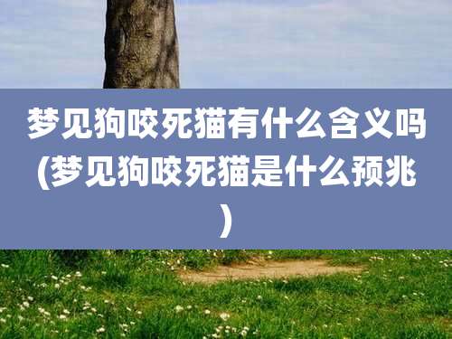 梦见狗咬死猫有什么含义吗(梦见狗咬死猫是什么预兆)