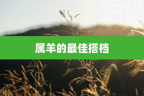 属羊的最佳搭档