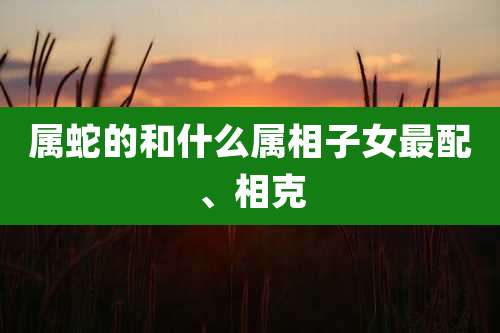属蛇的和什么属相子女最配、相克