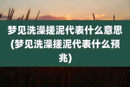 梦见洗澡搓泥代表什么意思(梦见洗澡搓泥代表什么预兆)