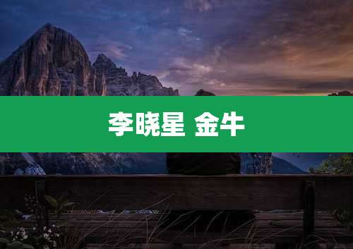 李晓星 金牛
