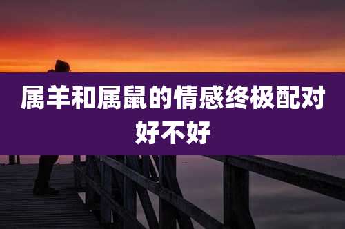 属羊和属鼠的情感终极配对好不好