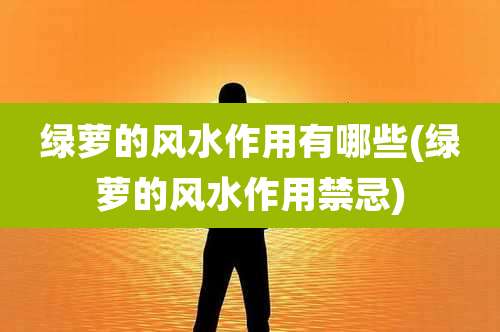 绿萝的风水作用有哪些(绿萝的风水作用禁忌)