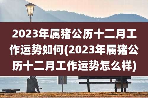 2023年属猪公历十二月工作运势如何(2023年属猪公历十二月工作运势怎么样)