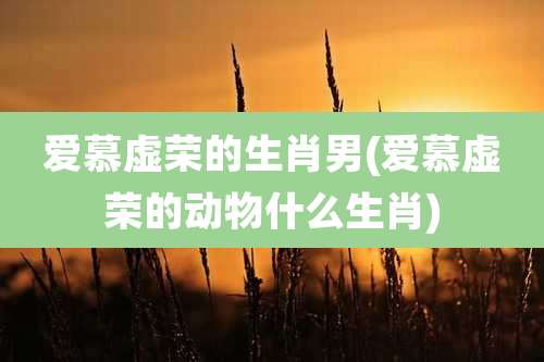 爱慕虚荣的生肖男(爱慕虚荣的动物什么生肖)