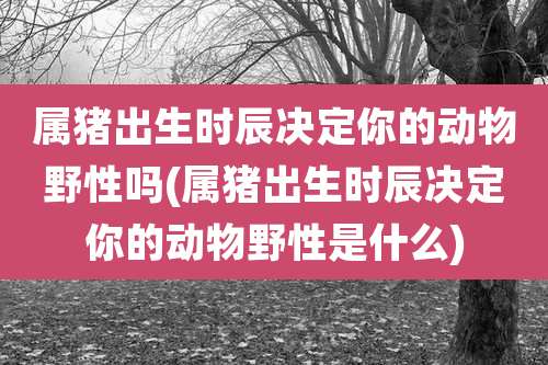 属猪出生时辰决定你的动物野性吗(属猪出生时辰决定你的动物野性是什么)