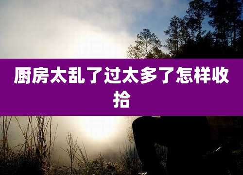 厨房太乱了过太多了怎样收拾