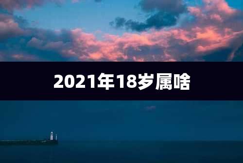 2021年18岁属啥