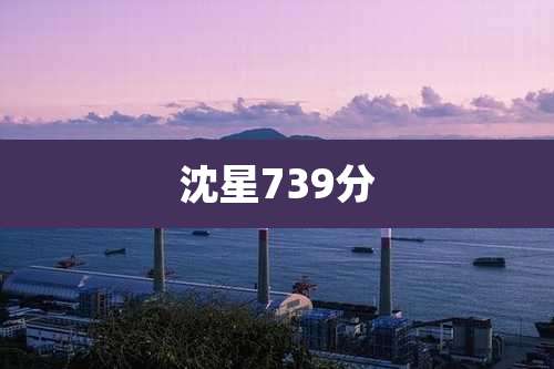 沈星739分