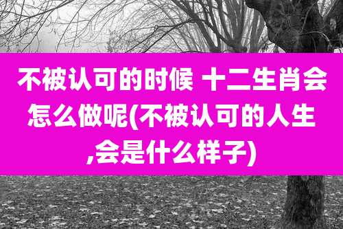 不被认可的时候 十二生肖会怎么做呢(不被认可的人生,会是什么样子)