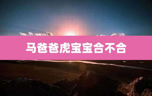 马爸爸虎宝宝合不合