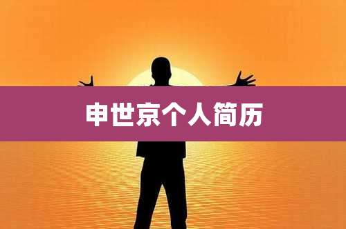 申世京个人简历