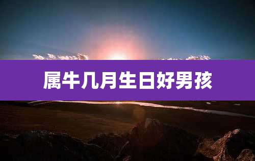 属牛几月生日好男孩