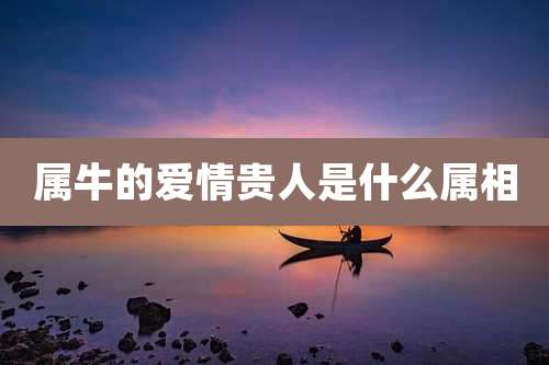 属牛的爱情贵人是什么属相