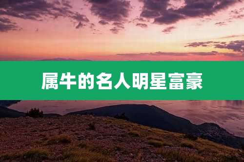 属牛的名人明星富豪