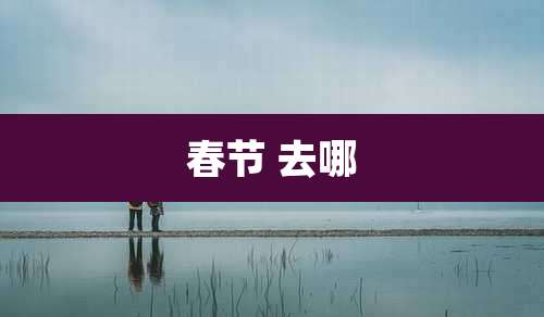 春节 去哪