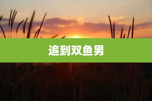追到双鱼男
