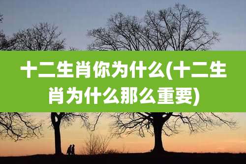 十二生肖你为什么(十二生肖为什么那么重要)