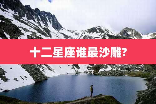 十二星座谁最沙雕?