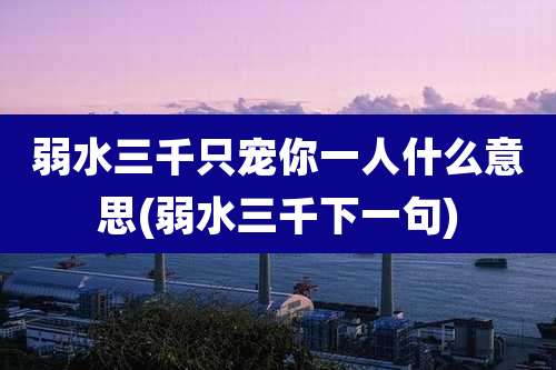 弱水三千只宠你一人什么意思(弱水三千下一句)
