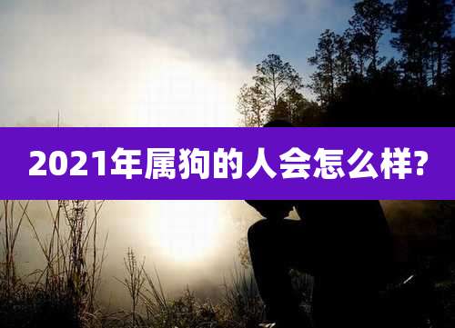 2021年属狗的人会怎么样?