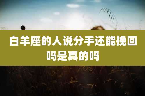 白羊座的人说分手还能挽回吗是真的吗