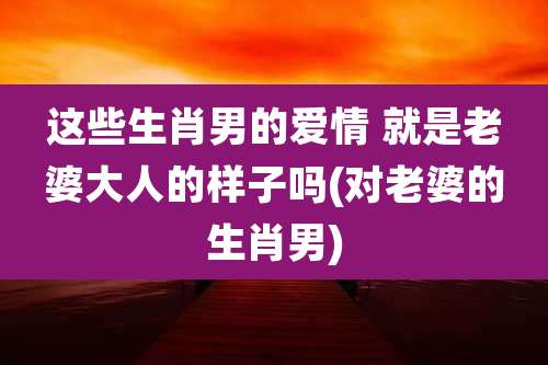 这些生肖男的爱情 就是老婆大人的样子吗(对老婆的生肖男)
