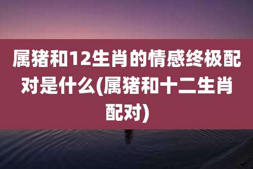 属猪和12生肖的情感终极配对是什么(属猪和十二生肖配对)
