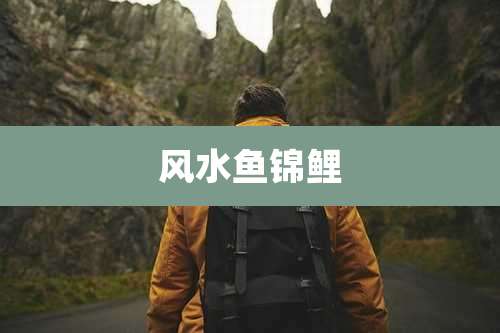风水鱼锦鲤
