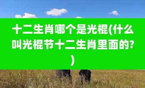 十二生肖哪个是光棍(什么叫光棍节十二生肖里面的?)