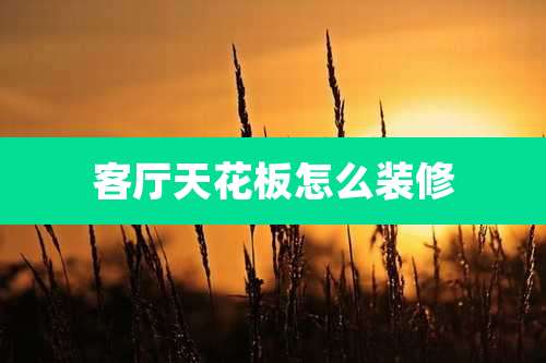 客厅天花板怎么装修