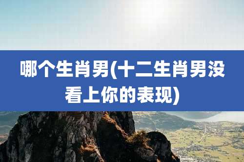 哪个生肖男(十二生肖男没看上你的表现)