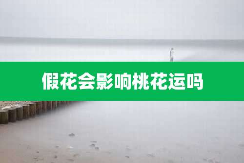 假花会影响桃花运吗