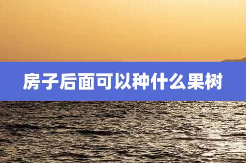 房子后面可以种什么果树