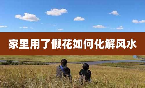 家里用了假花如何化解风水