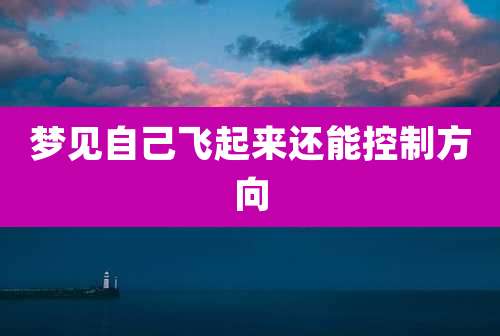 梦见自己飞起来还能控制方向