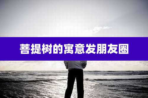 菩提树的寓意发朋友圈