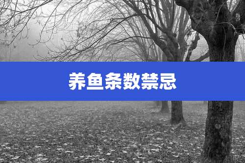 养鱼条数禁忌