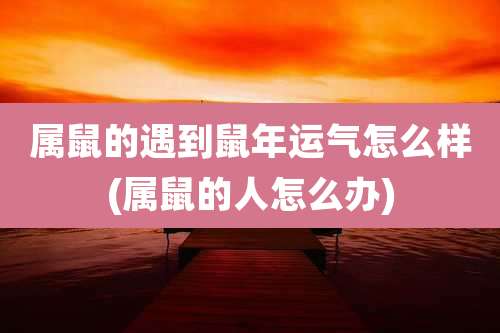 属鼠的遇到鼠年运气怎么样(属鼠的人怎么办)