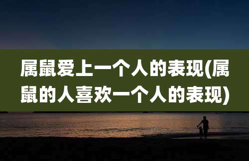 属鼠爱上一个人的表现(属鼠的人喜欢一个人的表现)