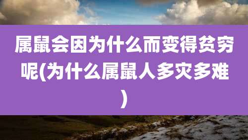 属鼠会因为什么而变得贫穷呢(为什么属鼠人多灾多难)