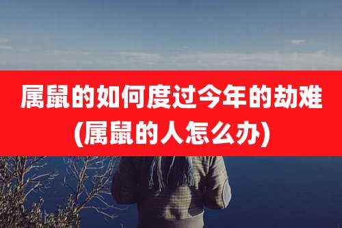 属鼠的如何度过今年的劫难(属鼠的人怎么办)