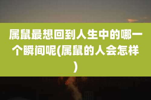 属鼠最想回到人生中的哪一个瞬间呢(属鼠的人会怎样)