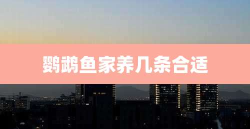 鹦鹉鱼家养几条合适