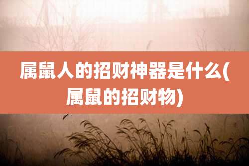 属鼠人的招财神器是什么(属鼠的招财物)