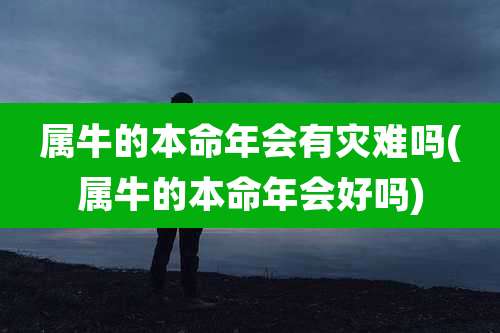 属牛的本命年会有灾难吗(属牛的本命年会好吗)