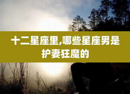 十二星座里,哪些星座男是护妻狂魔的