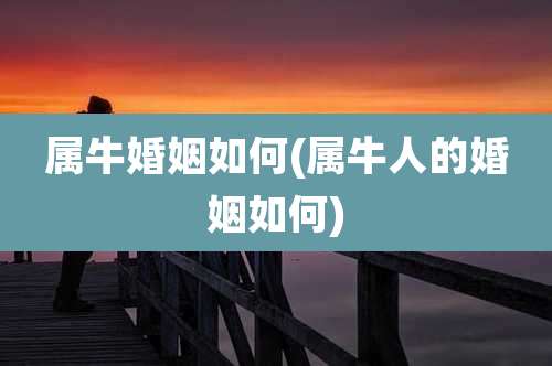 属牛婚姻如何(属牛人的婚姻如何)