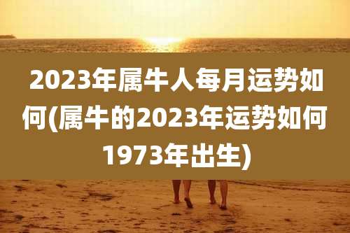 2023年属牛人每月运势如何(属牛的2023年运势如何1973年出生)
