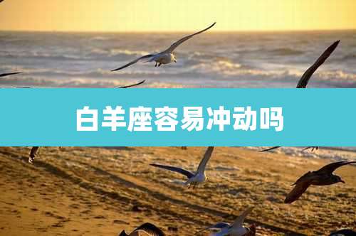 白羊座容易冲动吗